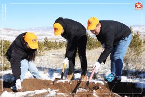 Шинэ Налайх цэцэрлэгт хүрээлэнд буйлс мод тарьлаа